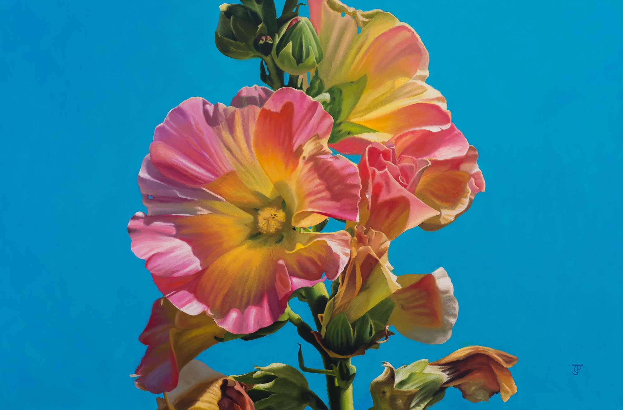 Hollyhock — oil painting by Dyan J. Padgett