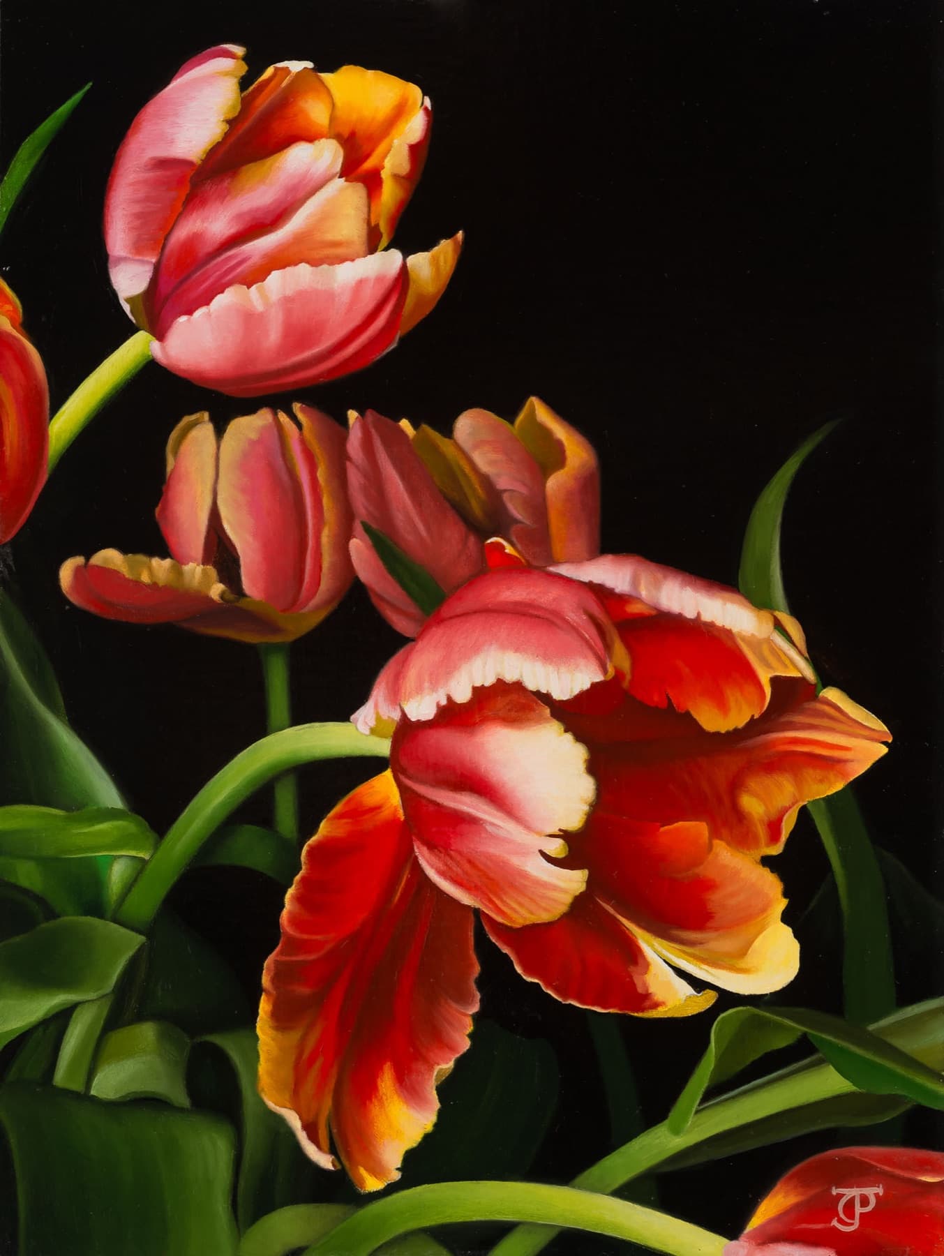 Dutch Delight — Oil